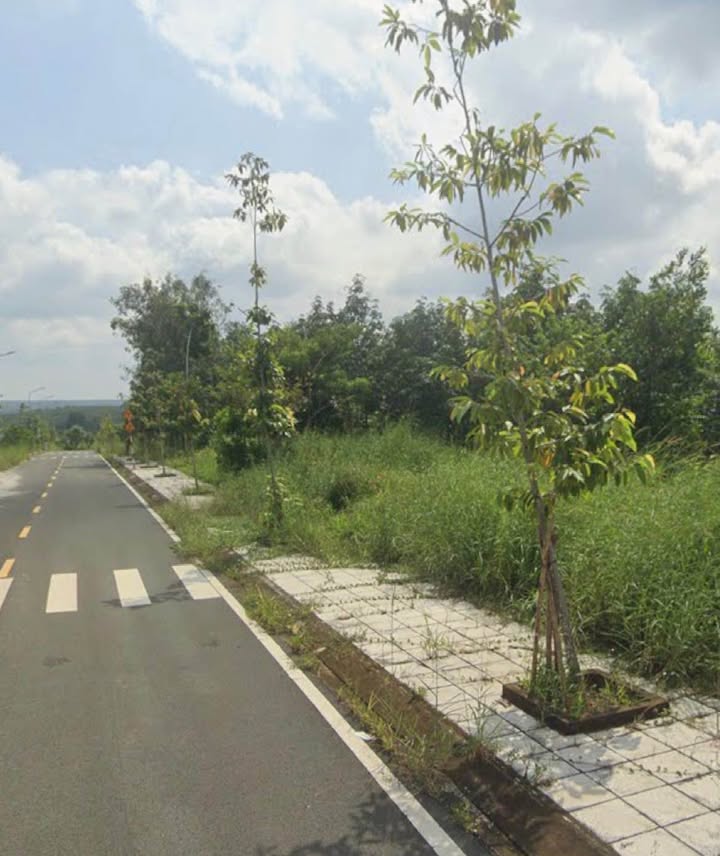 Đất nông nghiệp 1,1ha tại Bình Phước - Giá chỉ 6 tỷ - Cơ hội đầu tư hấp dẫn!