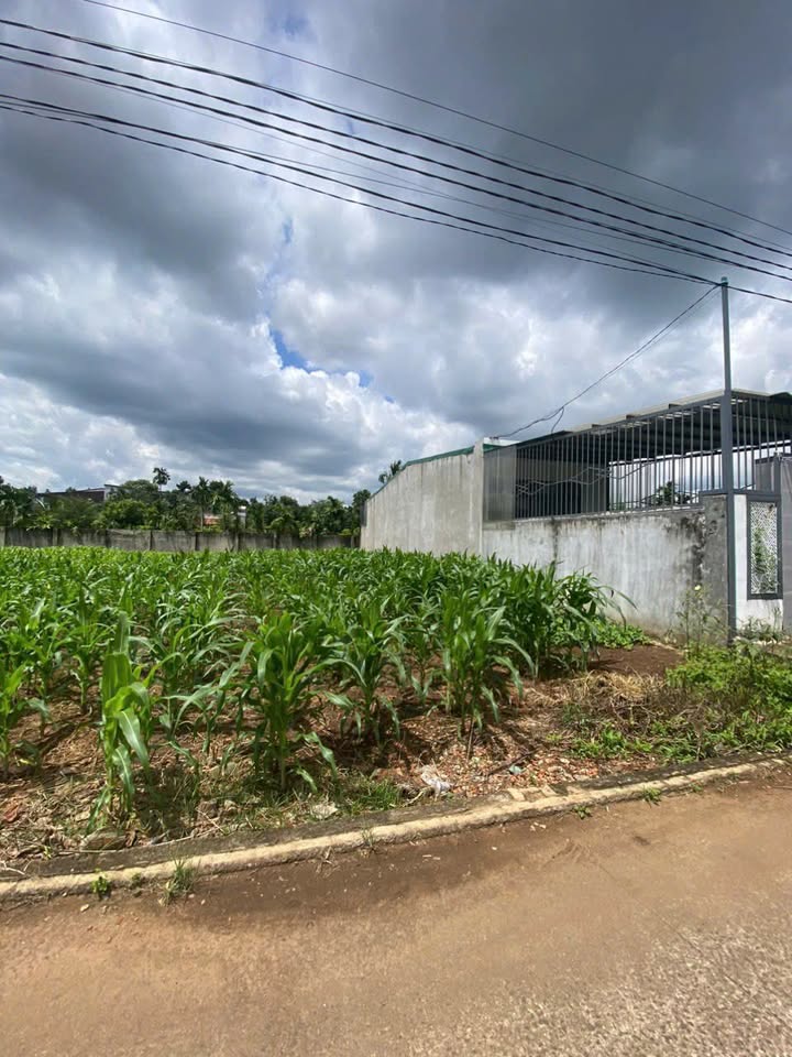 Đất liền kề hẻm cấp 1 QL14, Võ Văn Kiệt, 175m² giá 1 tỷ - Đầu tư sinh lời ngay!