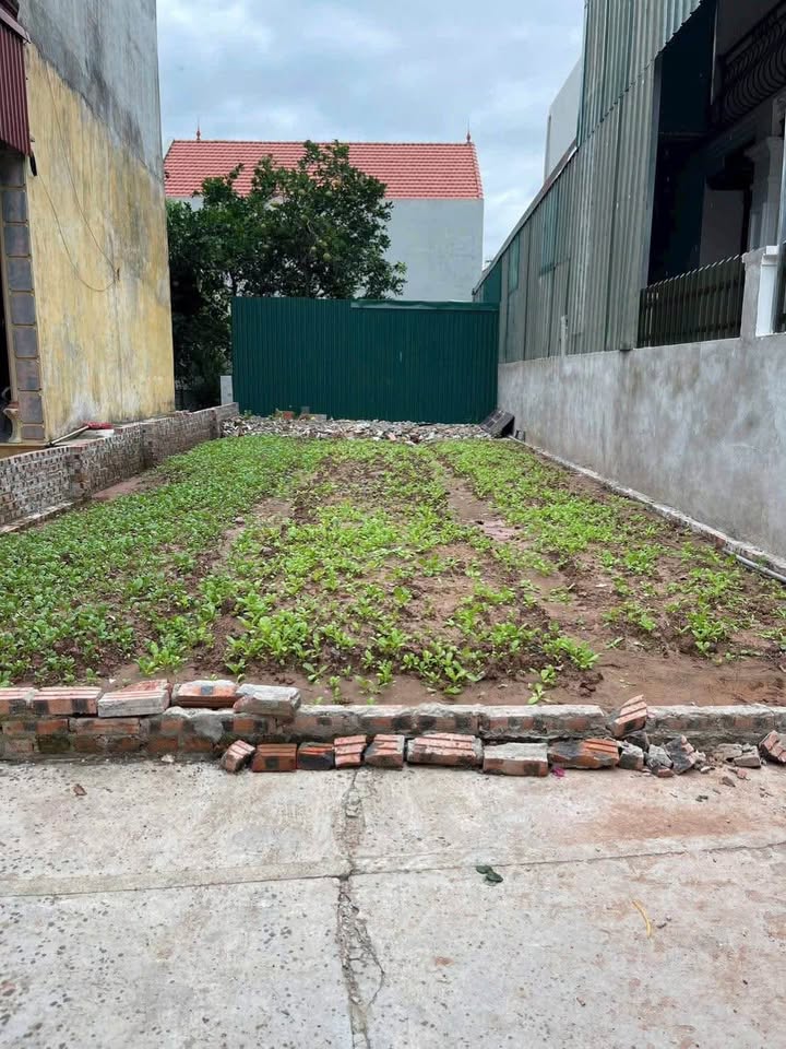 Đất nền 80m² tại xã Liên Minh, Đan Phượng - Giá chỉ 4.4 tỷ, cơ hội đầu tư tuyệt vời!