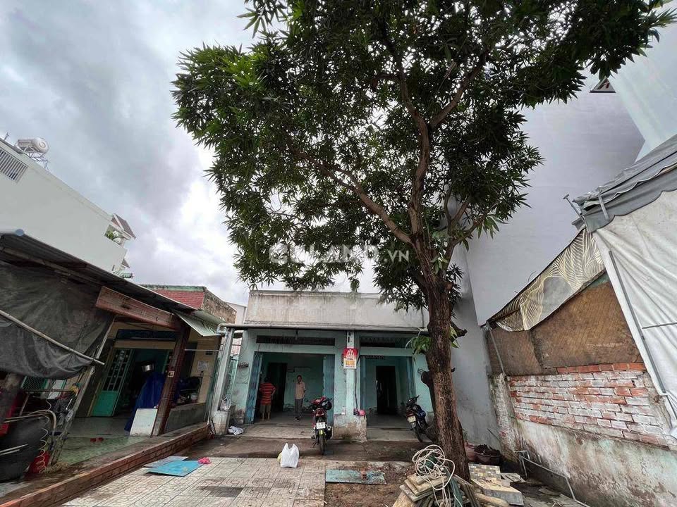 Nhà mặt tiền ĐS Khu Tên Lửa Bình Tân 245m² giá 45 triệu - Thích hợp kinh doanh đa ngành