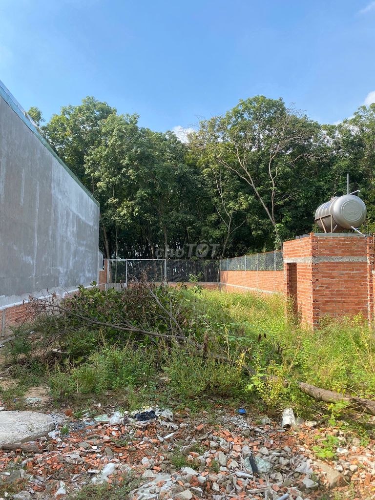 Đất CLN+ ODT 540m² tại Tân Khánh - Giá 5.99 tỷ, cơ hội đầu tư tuyệt vời!