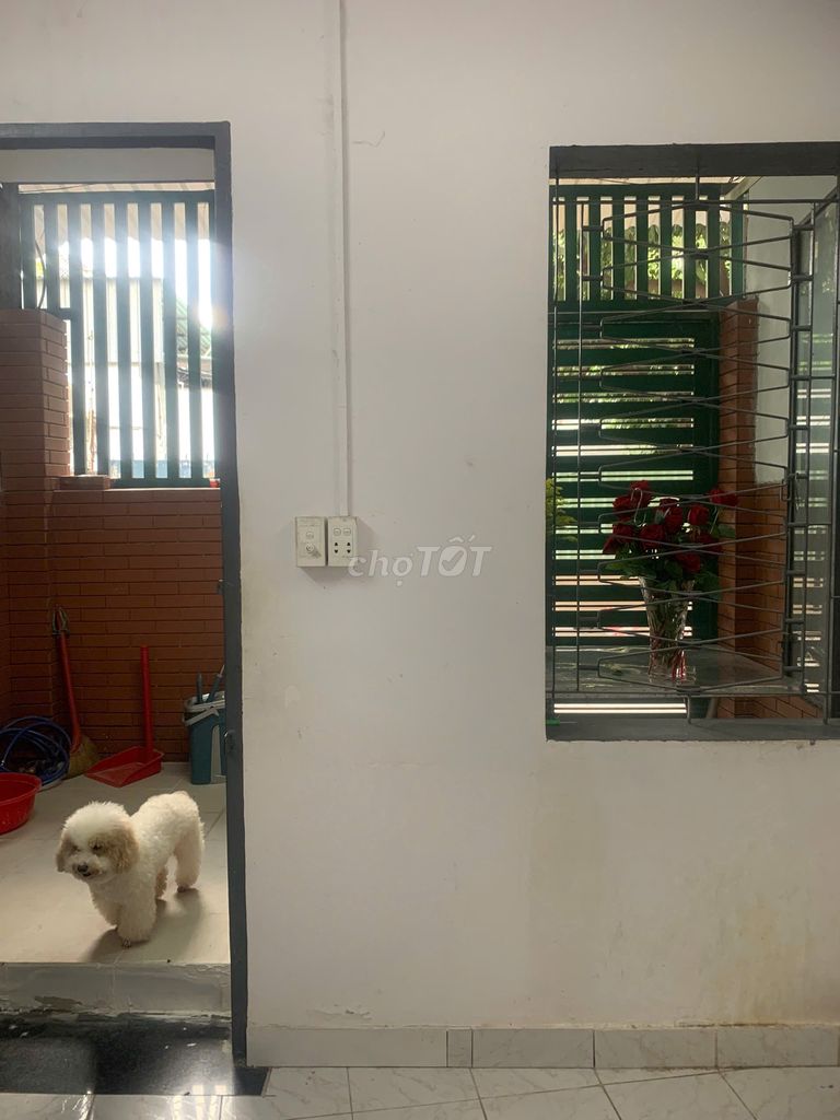 Nhà cho thuê mặt tiền đường Nguyễn Trọng Tuyển 67m² - Tiện kinh doanh đa dạng!