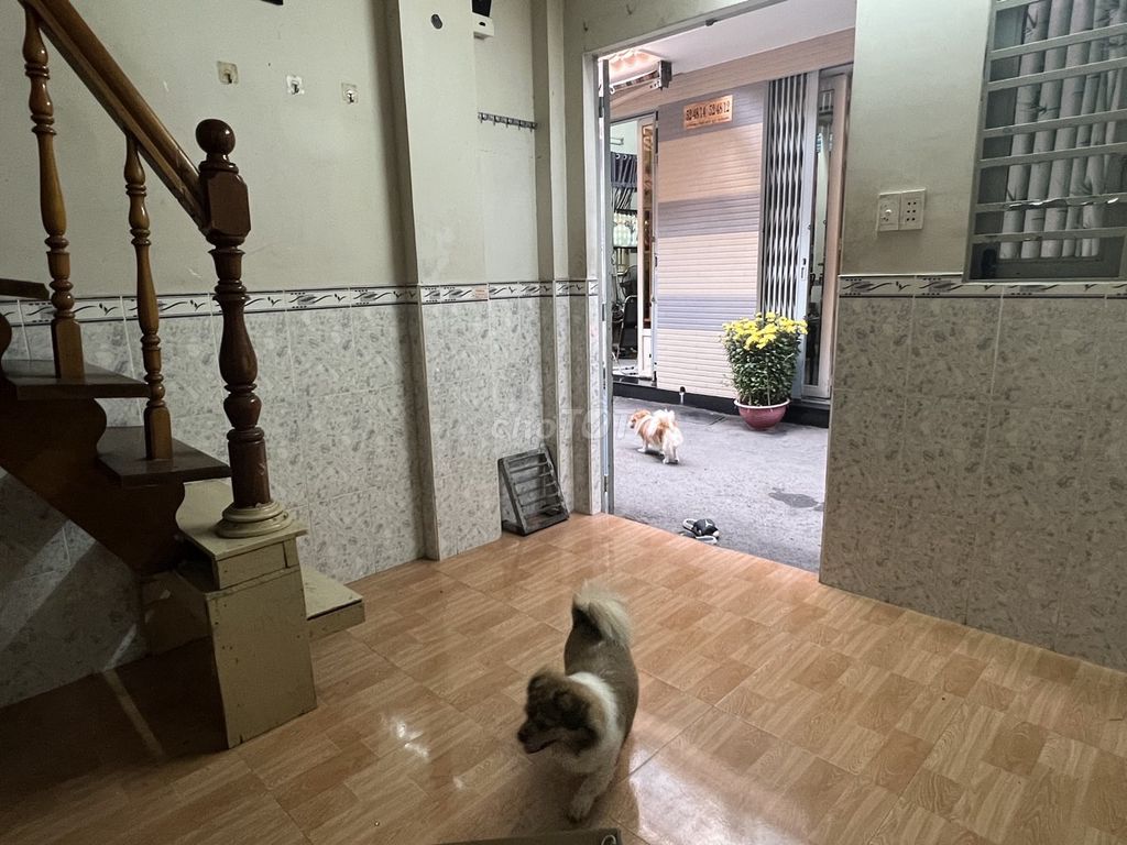 Nhà nguyên căn 1 trệt 1 lầu 20m² tại Tân Bình - Phù hợp cho gia đình!