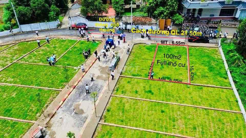 Đất sổ đỏ thổ cư Cổ Đông Sơn Tây 100m² giá 3.9 tỷ - Cơ hội đầu tư sinh lời 2025!