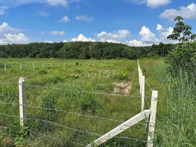 Đất vườn 1.706m² giáp suối đẹp tại Phước Thành, giá 530 triệu - Cơ hội đầu tư lý tưởng!