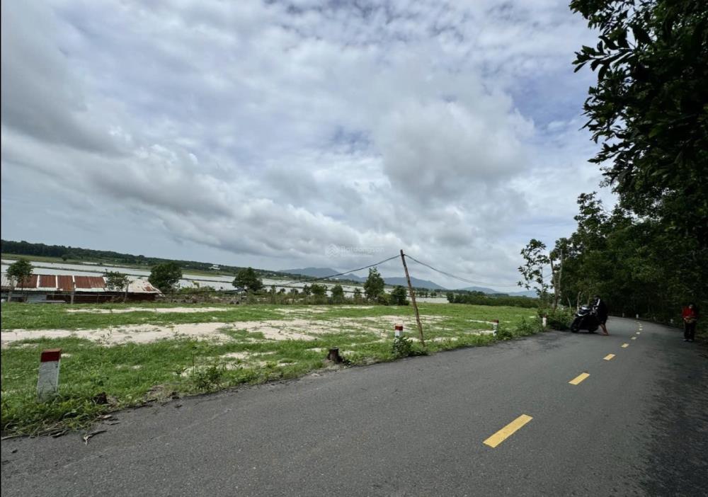 Đất nhà vườn 1453m² tại Phước Hội chỉ 960 triệu - Cách biển Lộc An 6 phút lái xe!