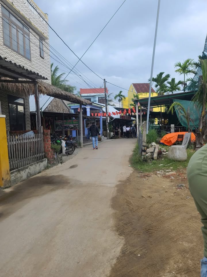 Đất vàng rừng dừa Cẩm Thanh 110m² giá 2 tỷ - Cơ hội đầu tư sinh lời!