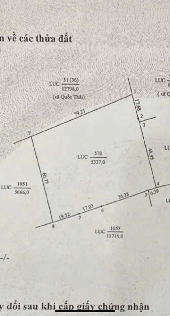 Đất lúa 5400m² xã Nhơn Hội Mới, An Giang - Giá chỉ 837 triệu!
