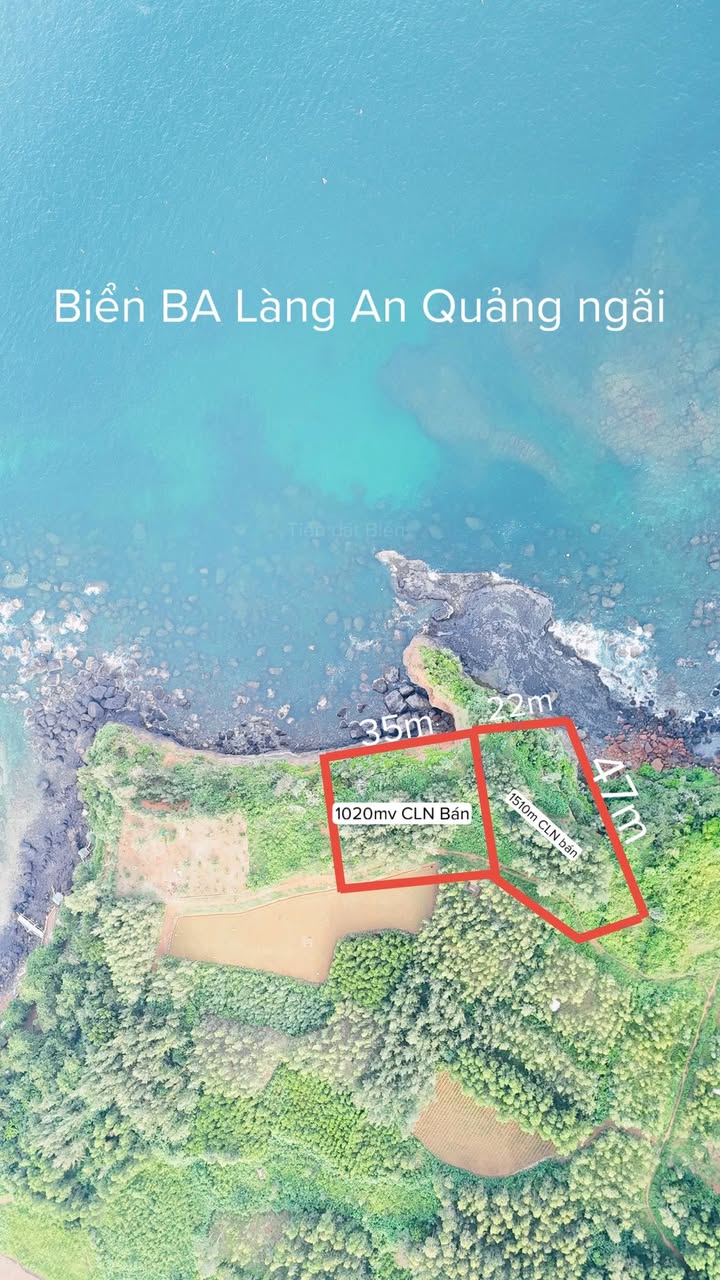 Đất vườn đẹp tại Đông Sơn, Đức Phổ - 2600m² giá chỉ 1.989 tỷ - Cơ hội đầu tư tuyệt vời!