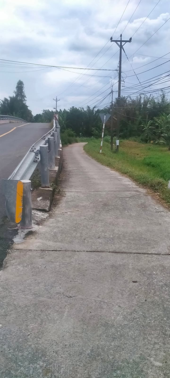 Đất vườn dừa An Ngãi Trung, Bến Tre 3000m² chỉ 750 triệu - Cơ hội đầu tư tuyệt vời!