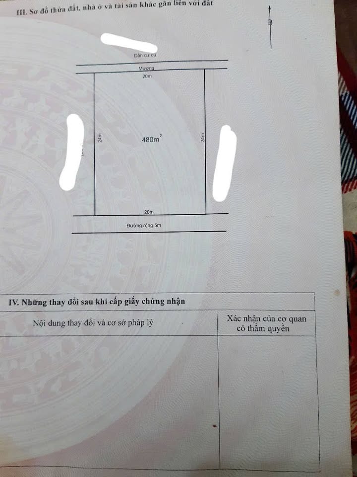 Đất chính chủ tại xã Tùng Lộc, huyện Can Lộc 480m² - Cơ hội đầu tư tốt!