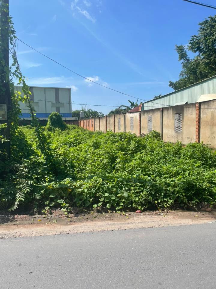 Bán đất mặt tiền đường Nguyễn Thị Se, Củ Chi 200m² - Cơ hội đầu tư hấp dẫn!