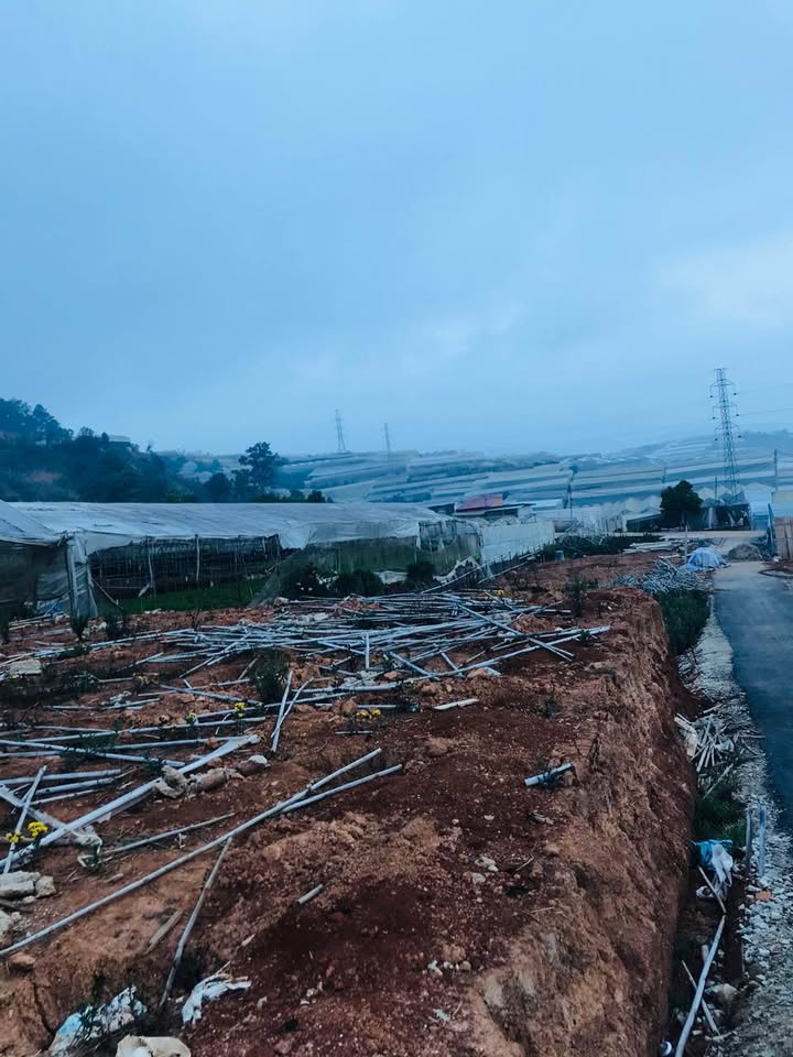 Lô đất 2 mặt tiền Thái Phiên, Đà Lạt 200m² giá 3.55 tỷ - Đầu tư sinh lời ngay!