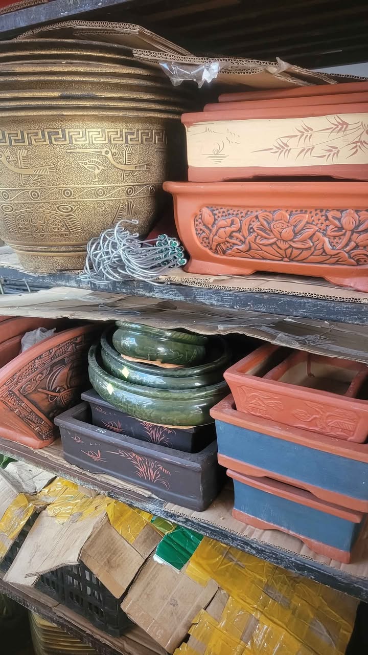 Cửa hàng cây phong thủy tại Quy Nhơn - Mặt tiền đường Sư đoàn 3 Sao Vàng, giá thuê thỏa thuận!