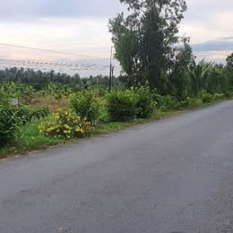 Đất nền Hòa Bình Trà Ôn 1993m² giá 3.6 tỷ - Sổ đỏ chính chủ, giá tốt thương lượng!