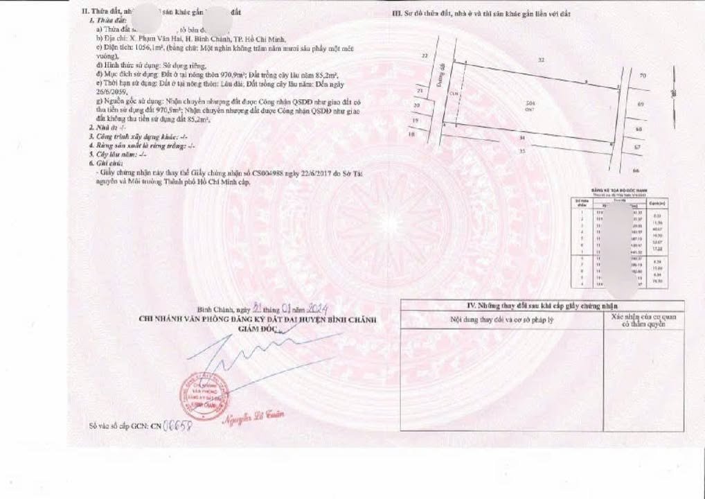 Đất thổ cư Bình Chánh 1040m² - Sổ hồng riêng, thích hợp phân lô!