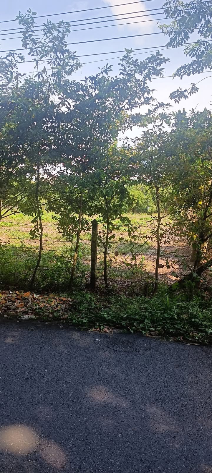 Đất nền An Điền Bến Cát 200m² giá 1.3 tỷ - Vị trí đẹp, giao thông thuận lợi!