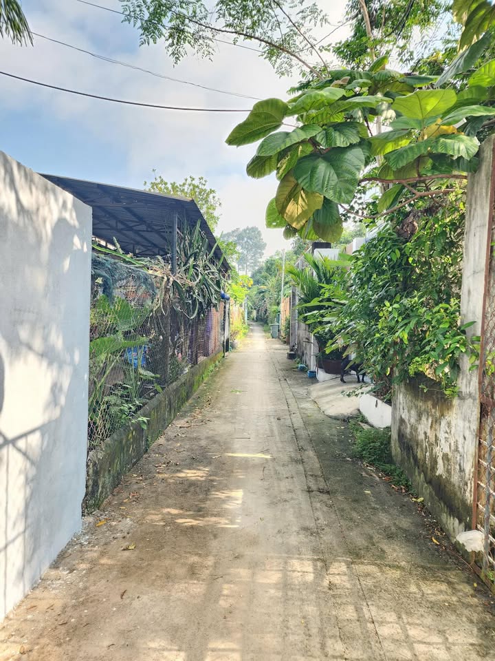 Đất nền An Thạnh, Thuận An 151.8m² giá 2.05 tỷ - Xây dựng tự do, gần chợ!