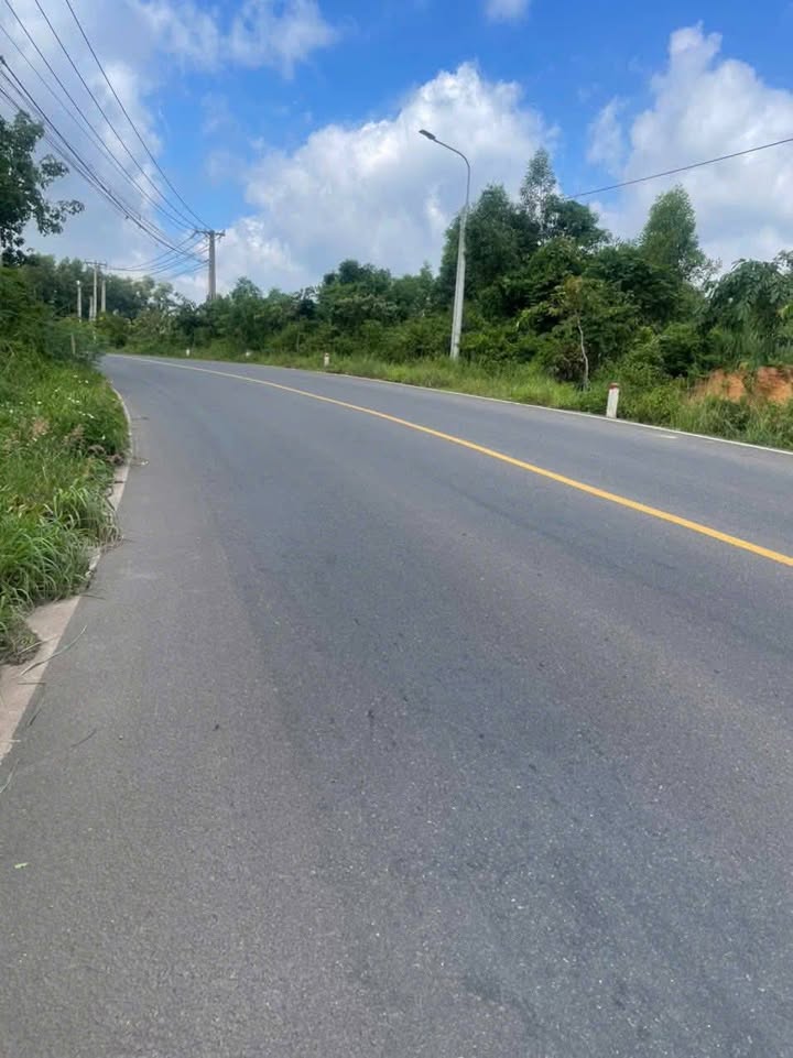 Đất mặt tiền 768, xã Trị An, 1600m² giá chỉ 2.85 tỷ - Cơ hội đầu tư tuyệt vời!