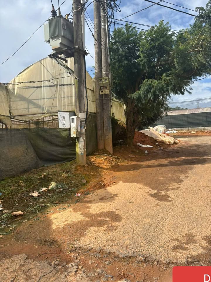 Lô đất 200m² Thái Phiên P12 Đà Lạt giá chỉ 720 triệu - Cơ hội đầu tư hấp dẫn!