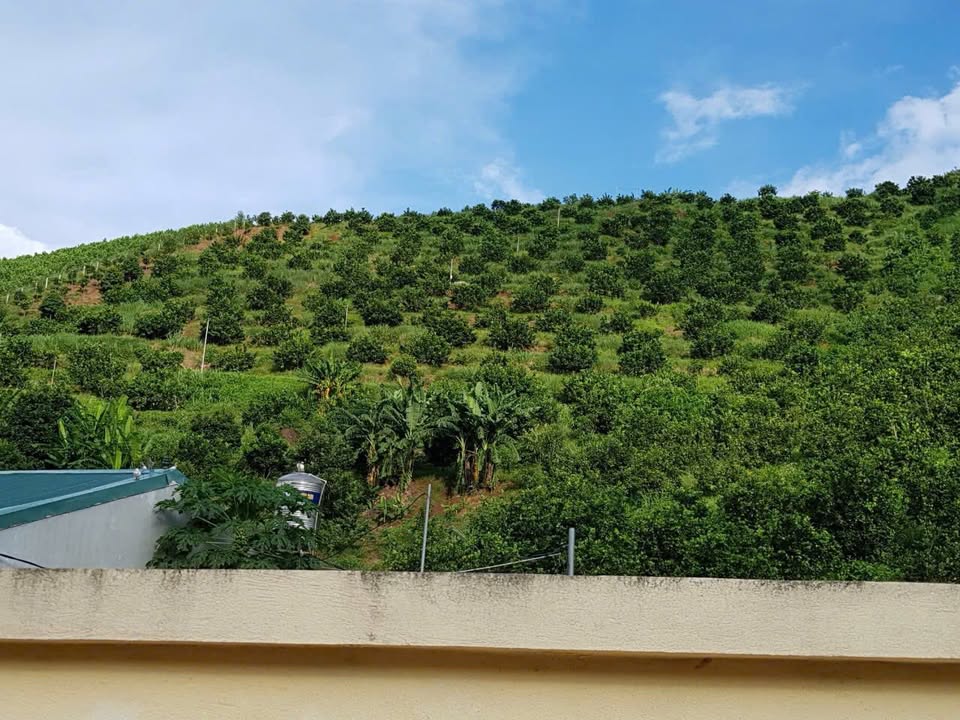 Cho thuê trang trại 10ha tại Cao Phong - Tiềm năng phát triển lớn!