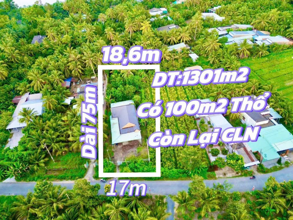 Đất nền 1301m² mặt tiền đường Huyện 35 - Giá chỉ 2.6 tỷ, sổ hồng chính chủ!