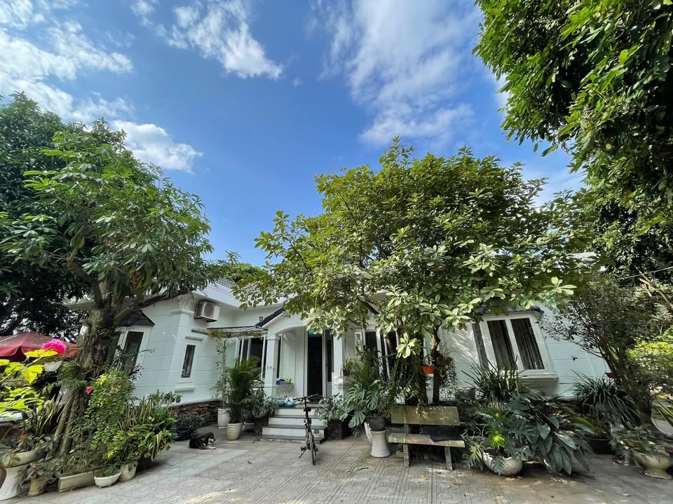 Biệt thự nhà vườn 7000m² cho thuê Đan Phượng - View sông Đáy tuyệt đẹp!