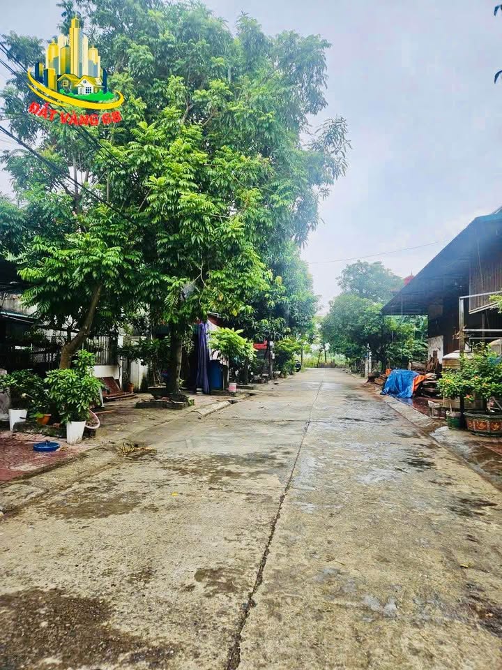 Đất nền phố Ngõ 205 Nam Bình 85,3m² giá 3,8 tỷ - Vị trí trung tâm thành phố!