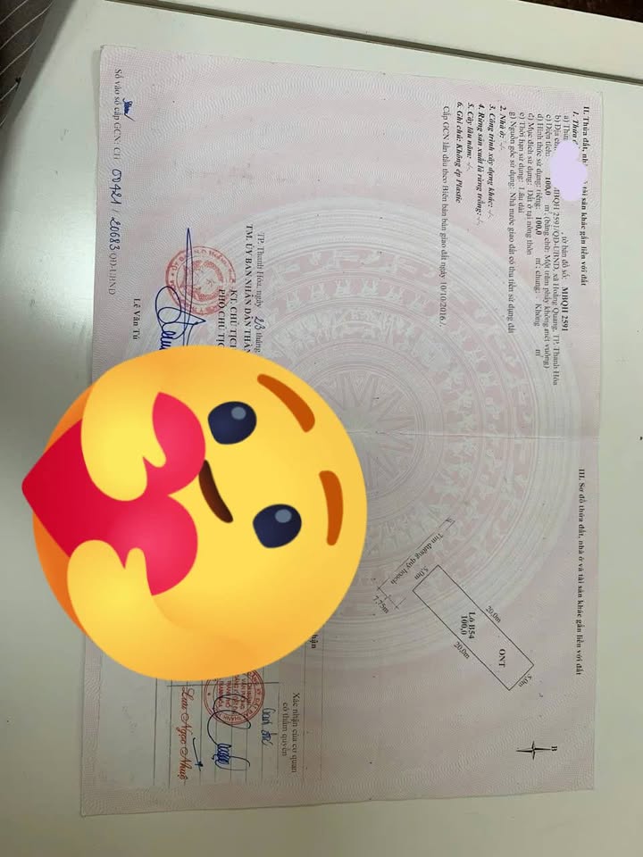 Đất nền chính chủ tại Hoằng Quang, Thanh Hóa 100m² chỉ 2.2 tỷ - Đầu tư sinh lời cao!