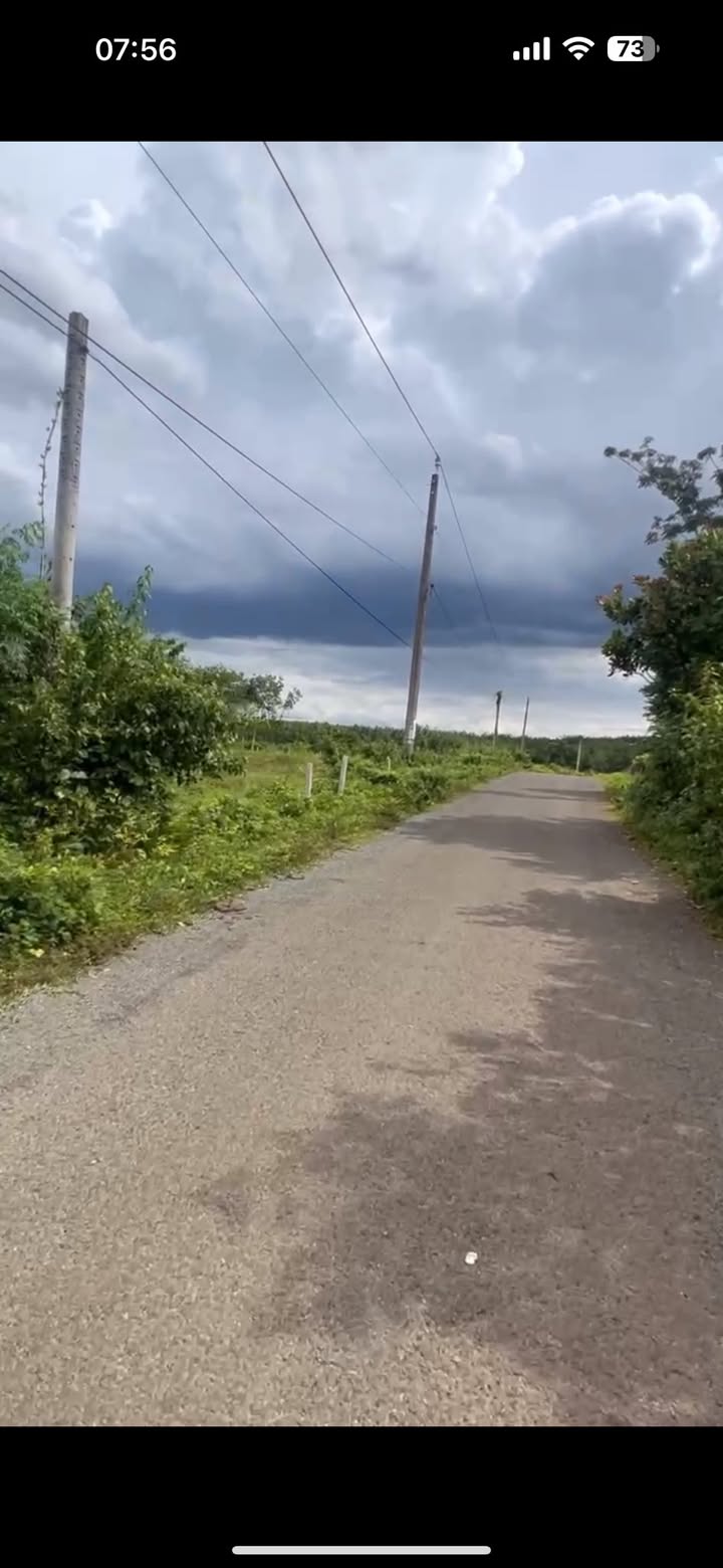 Đất thổ cư mặt tiền đường nhựa Long Hà, Phú Riềng 250m² chỉ 200 triệu - Cơ hội đầu tư tuyệt vời!