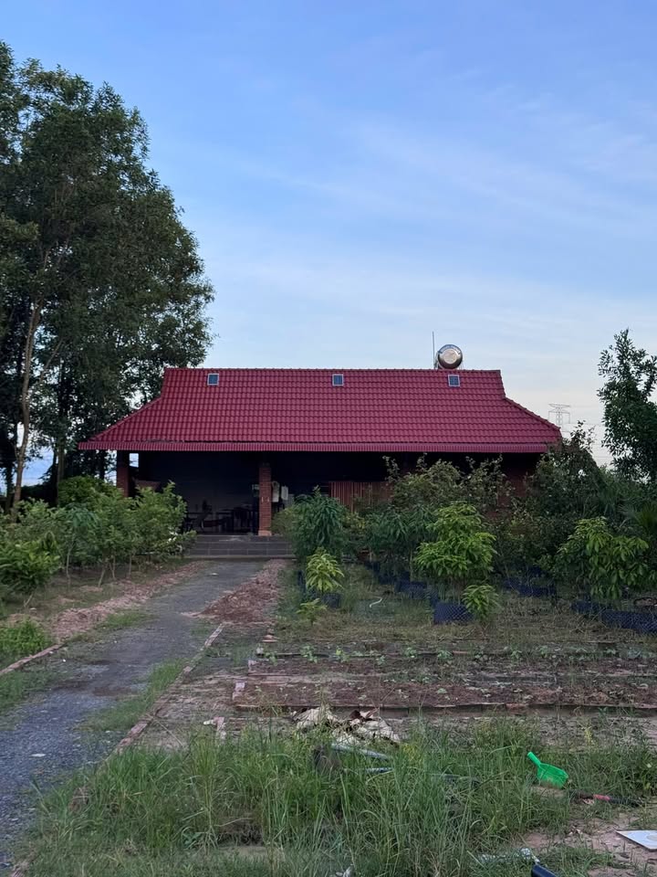 Cho thuê nhà vườn tại xã Vĩnh Thanh, huyện Nhơn Trạch, 1100m² - Không gian sống lý tưởng!