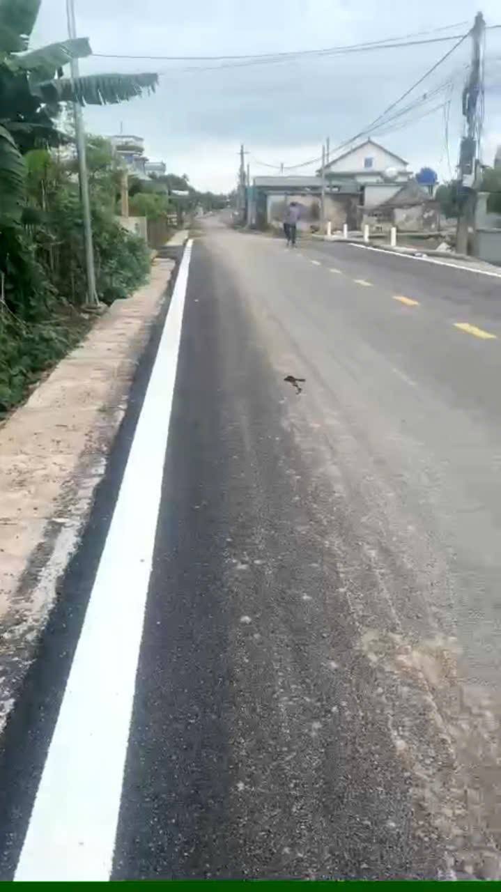 Đất mặt đường Hồng Tiến, Kiến Xương 141m² giá tốt - Cơ hội đầu tư hấp dẫn!