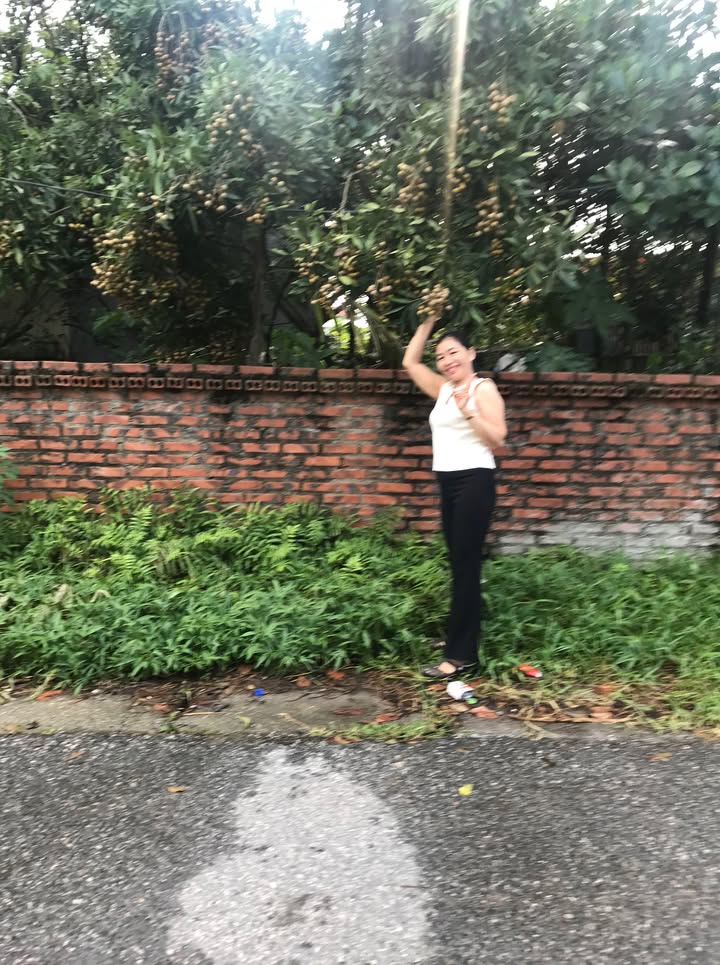 Đất tặng nhà mê lửng tại Thôn La Bông, Đà Nẵng, 285m² - Giá chỉ 2.47 tỷ!