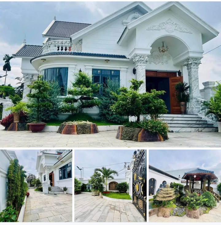 Biệt thự mặt tiền Quốc lộ 60, Thị Trấn Châu Thành, 1250m² - Đầu tư sinh lời cao!