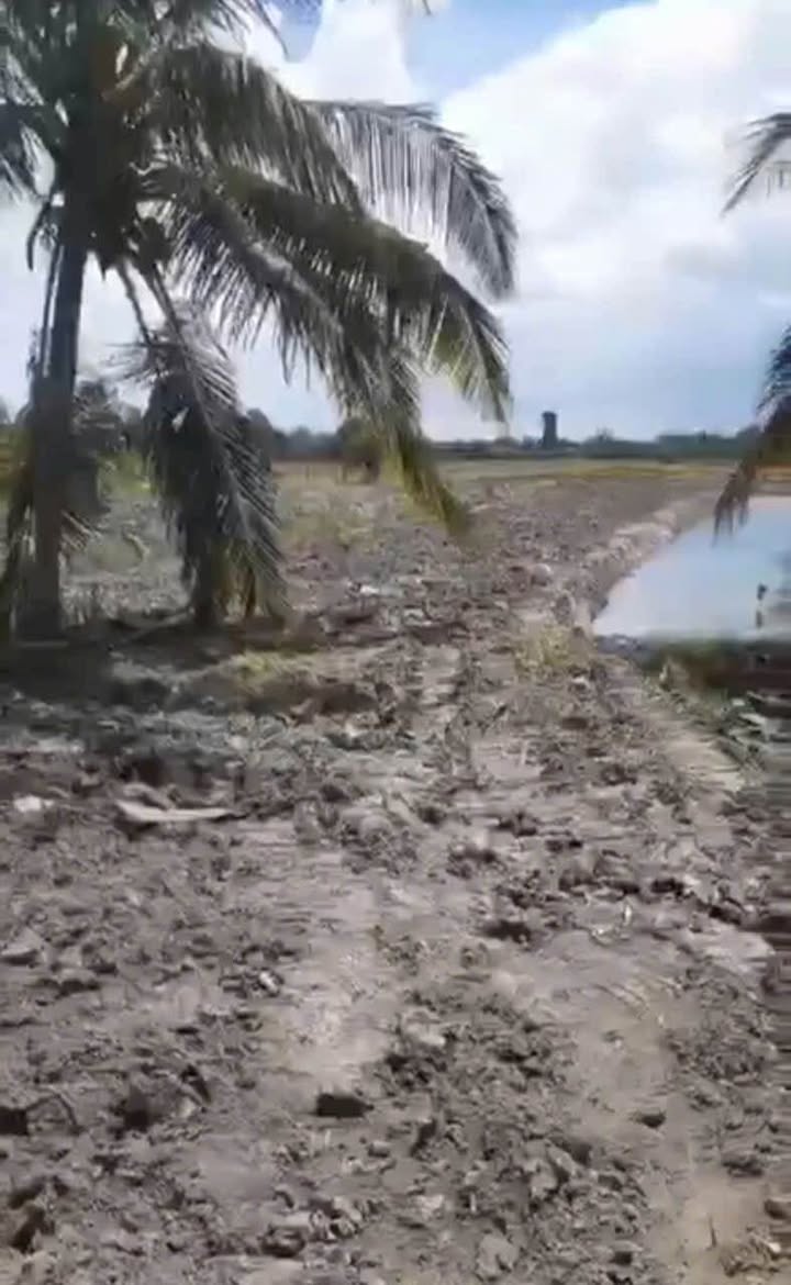 Đất trống cho thuê tại xã Mỹ Hạnh Đông, 4000m² giá 13 triệu/năm - Cơ hội đầu tư lâu dài!