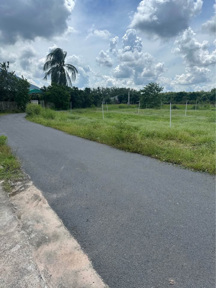 Đất nền Tân Bình, Tây Ninh 37,000m² - Giá tốt, mặt tiền rộng 100m!