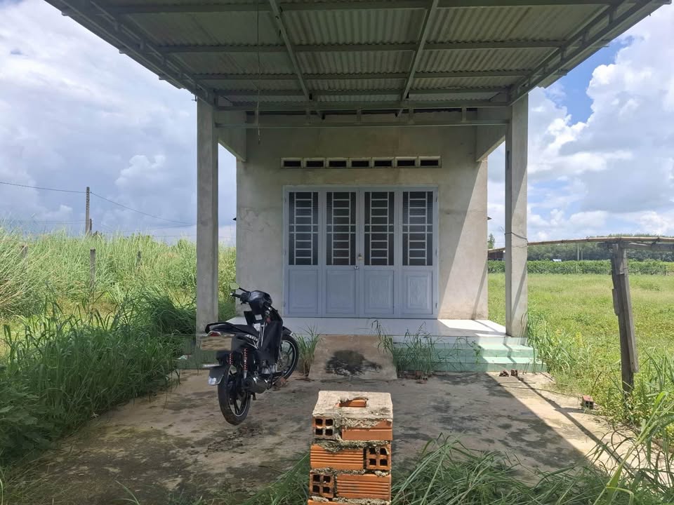 Nhà Tân Đông Tân Hưng 198.9m² giá 350 triệu - Cơ hội đầu tư tuyệt vời!