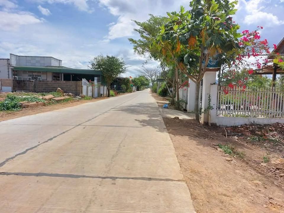 Đất nền Hòa Khánh 336m² giá 1.35 tỷ - Đối diện chợ Đoàn Kết, vị trí đắc địa!