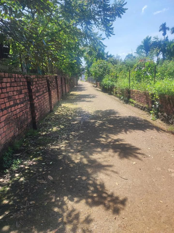 Đất thổ cư Tân Lập, Buôn Ma Thuột 144m² giá 1.15 tỷ - Khu dân cư đông đúc, đường rộng thông thoáng!
