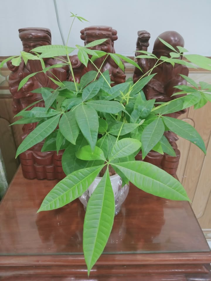 Đất nền Hẻm 921, Đường Bình Giã, 110m² giá chỉ 1.95 tỷ - Sổ đỏ chính chủ!