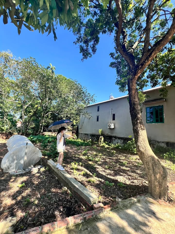 Đất nền Lại Thượng Thạch Thất 100m² giá 2,5 tỷ - Cơ hội đầu tư sinh lời!