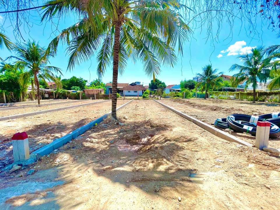 Đất nền mặt tiền đường Ngô Quyền, Diên Khánh, 146m² - Đầu tư sinh lời ngay!