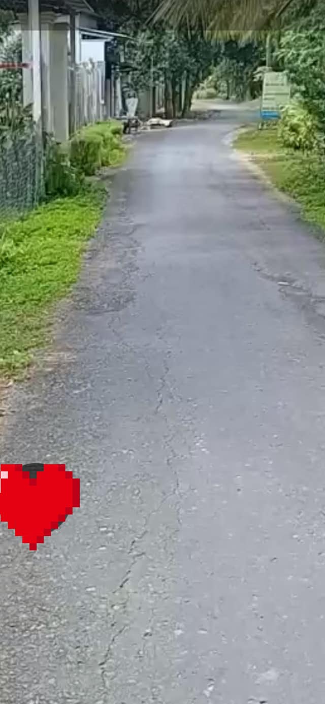 Đất thổ cư 1000m² tại Trường Lạc, Ô Môn, Cần Thơ - Giá chỉ 4 tỷ, cơ hội đầu tư tuyệt vời!