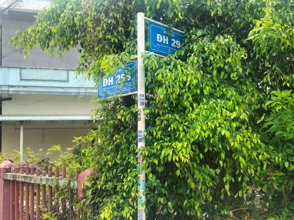 Đất nền thổ cư 168m² tại Thôn Đồng Lãnh, Đắk Lắk - Pháp lý rõ ràng, giá chỉ 1.1 tỷ!