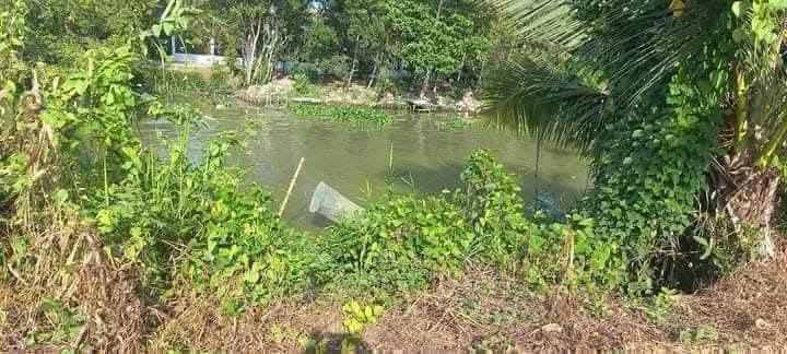 Đất nền ấp Thới Trung, Cờ Đỏ 248m² giá chỉ 1.1 tỷ - Sổ hồng riêng từng nền!