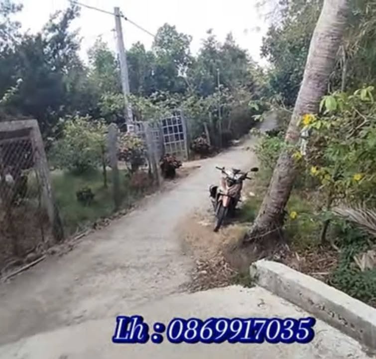 Vườn sầu riêng 8800m² tại Cai Lậy - Giá chỉ 680 triệu, thương lượng!