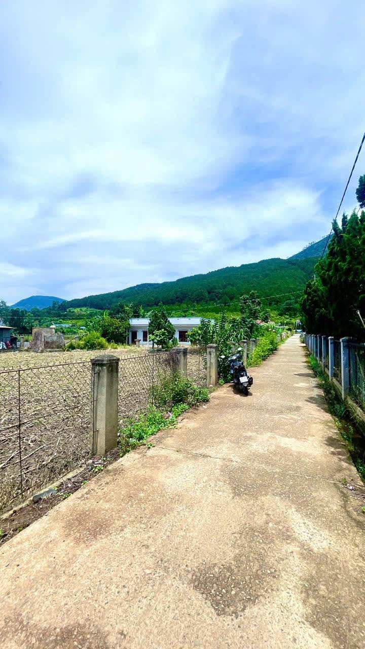 Đất thổ cư Hiệp An, Đức Trọng 290m² giá chỉ 2.2 tỷ - Cơ hội đầu tư tuyệt vời!