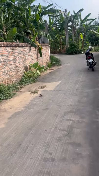 Đất nền Tân Luận Lạng Giang 80m² giá thỏa thuận - Cơ hội đầu tư hấp dẫn!