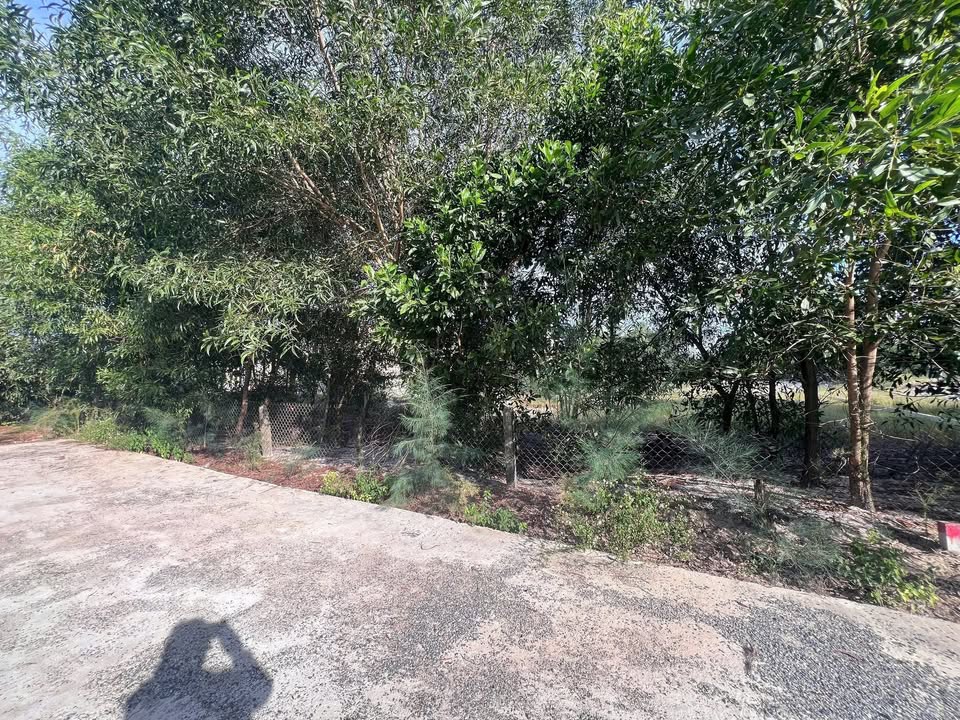 Đất nền biển Gio Hải 315m² giá thỏa thuận - Cơ hội đầu tư tuyệt vời!