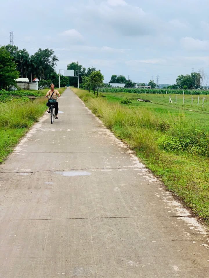 Đất vườn 520m² xã Nhuận Đức, Củ Chi giá chỉ 1.2 tỷ - Sổ hồng riêng, thuận tiện giao thông